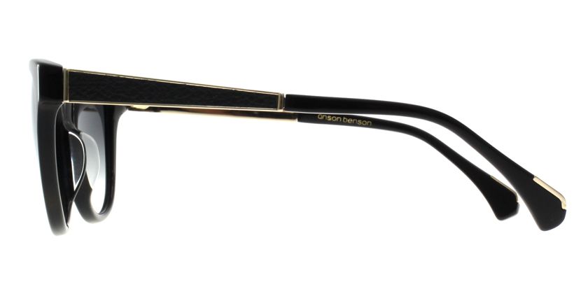 Anson Benson AB2005S001 Sunglasses - Side View
